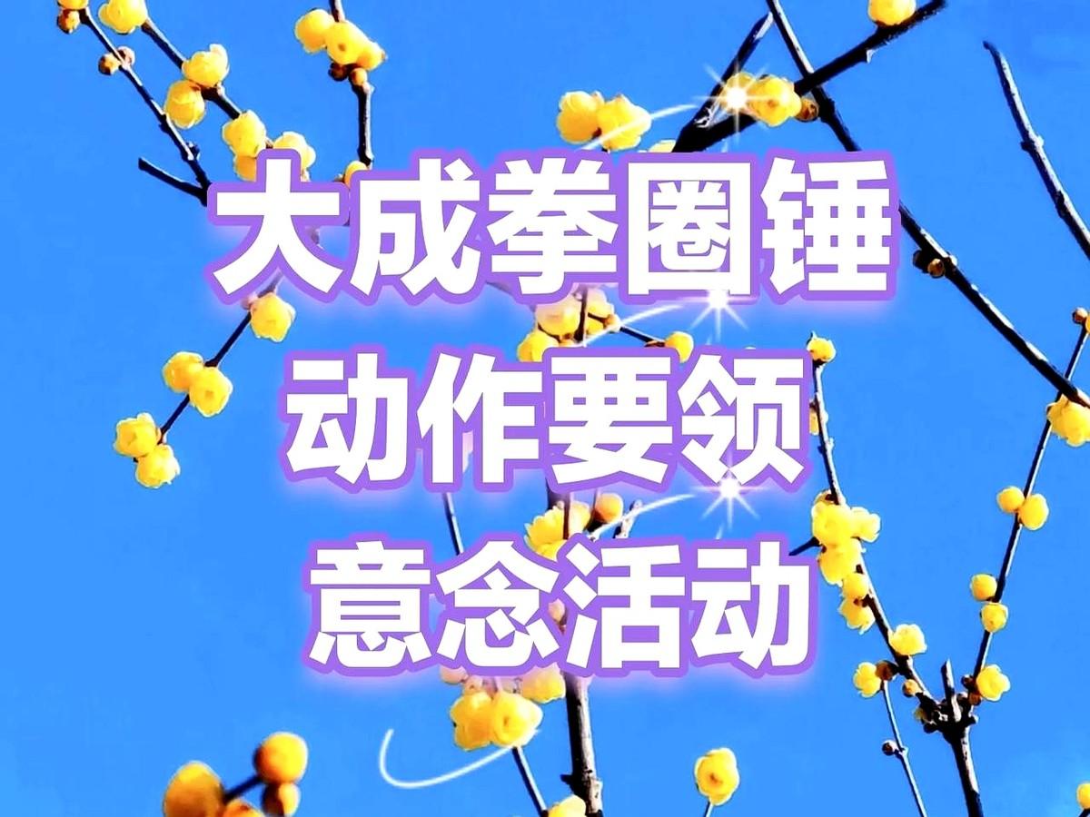 练拳手发胀？恭喜，你可能练对了！

练大成拳，特别是那个横着抡的圈捶，很多人没感