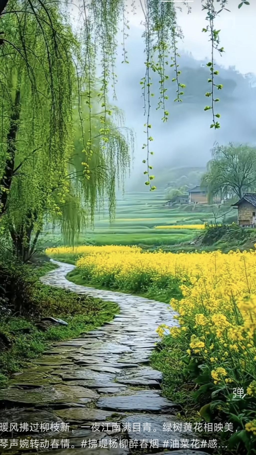 天净沙·春韵 
暖风轻拂枝新，
江南一夜青匀。
绿树黄花相映，
琴声婉转，
一怀