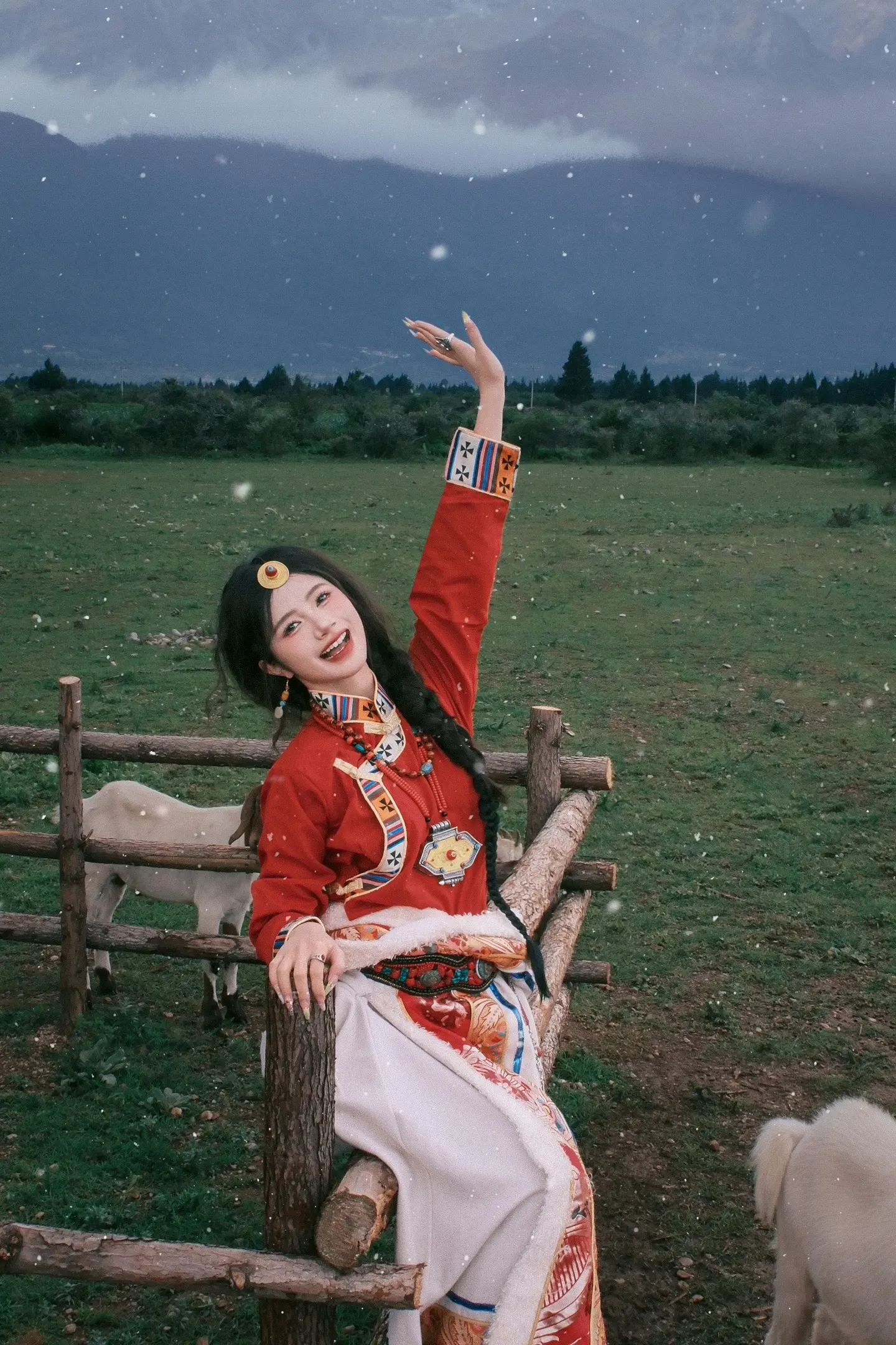 我出不了神山，你带一只小羊🐑走吧丨丽江写真