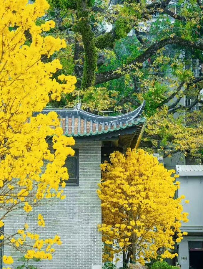 人这一生有什么东西永远属于自己你可以停止焦虑，停止抱怨，停止争吵，但不要停止学习