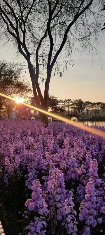 这个世界到底是唯物的还是唯心的，这争论了千年也没结果。从人类和世界整体看，世界是