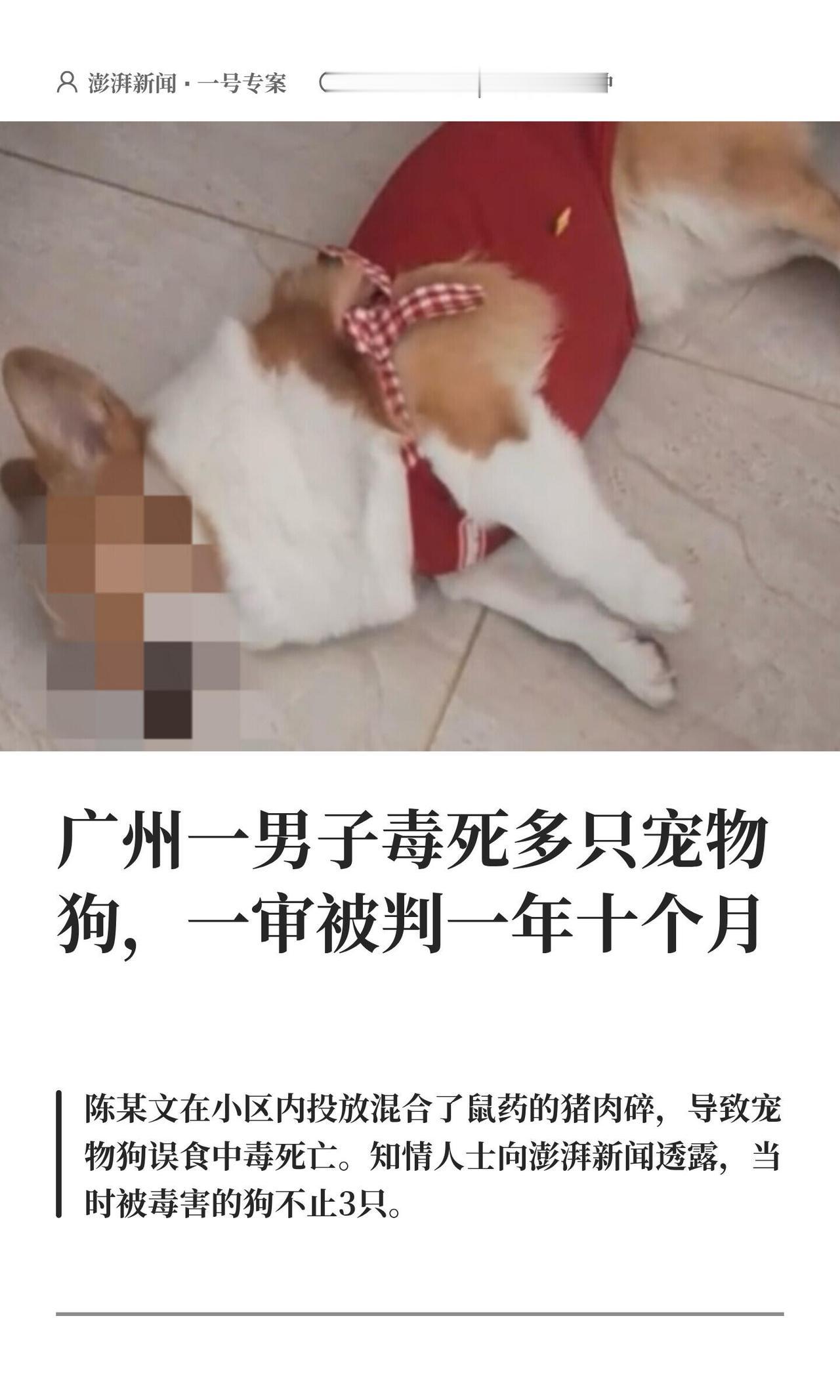 广州南沙那个事儿有后续了。去年不是有个小区好几只狗突然中毒死了吗，当时闹得挺大。