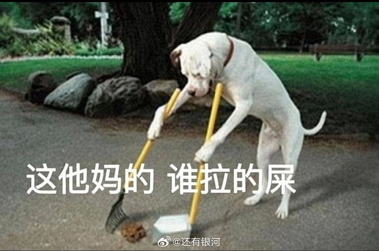 浪姐总决赛你们皇族对轰，关便利贴啥事？节目组和糊208丝不再依赖王濛算长大吗？ 