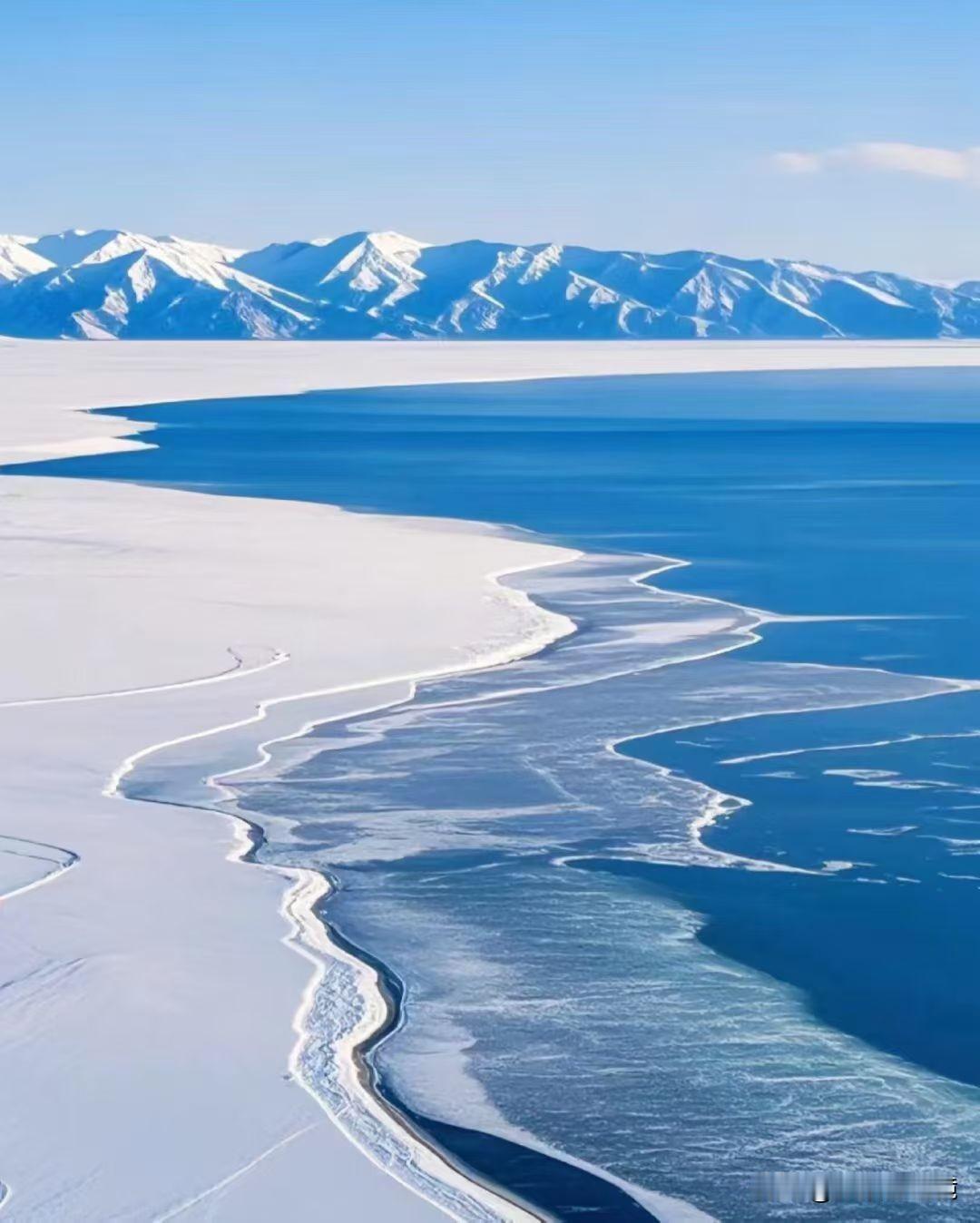 还有为长安汽车叫好的股民，心里一点数都没有。