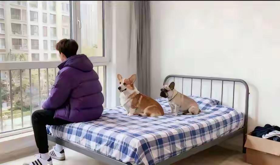 生活的累与忙，都会在看见你痕迹的那一刻消散。你是照亮前路的光，朦朦，愿我们都能循