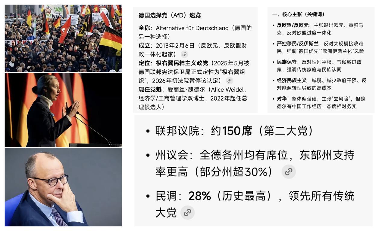 ✨德国极右翼民粹主义政党为何兴起?✨

🐼 德国的选择党虽然被定义为极右翼和民