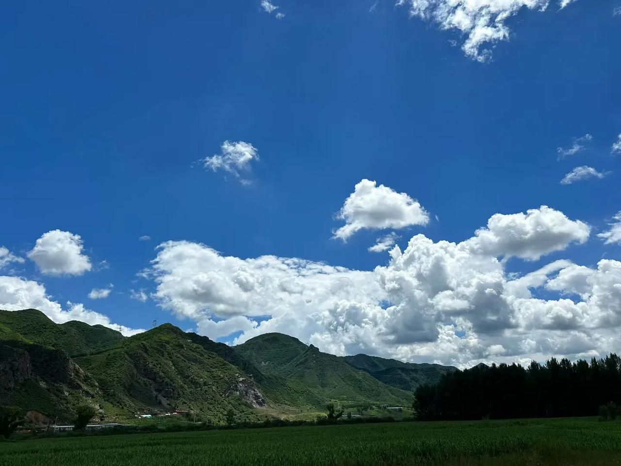 好美呀~