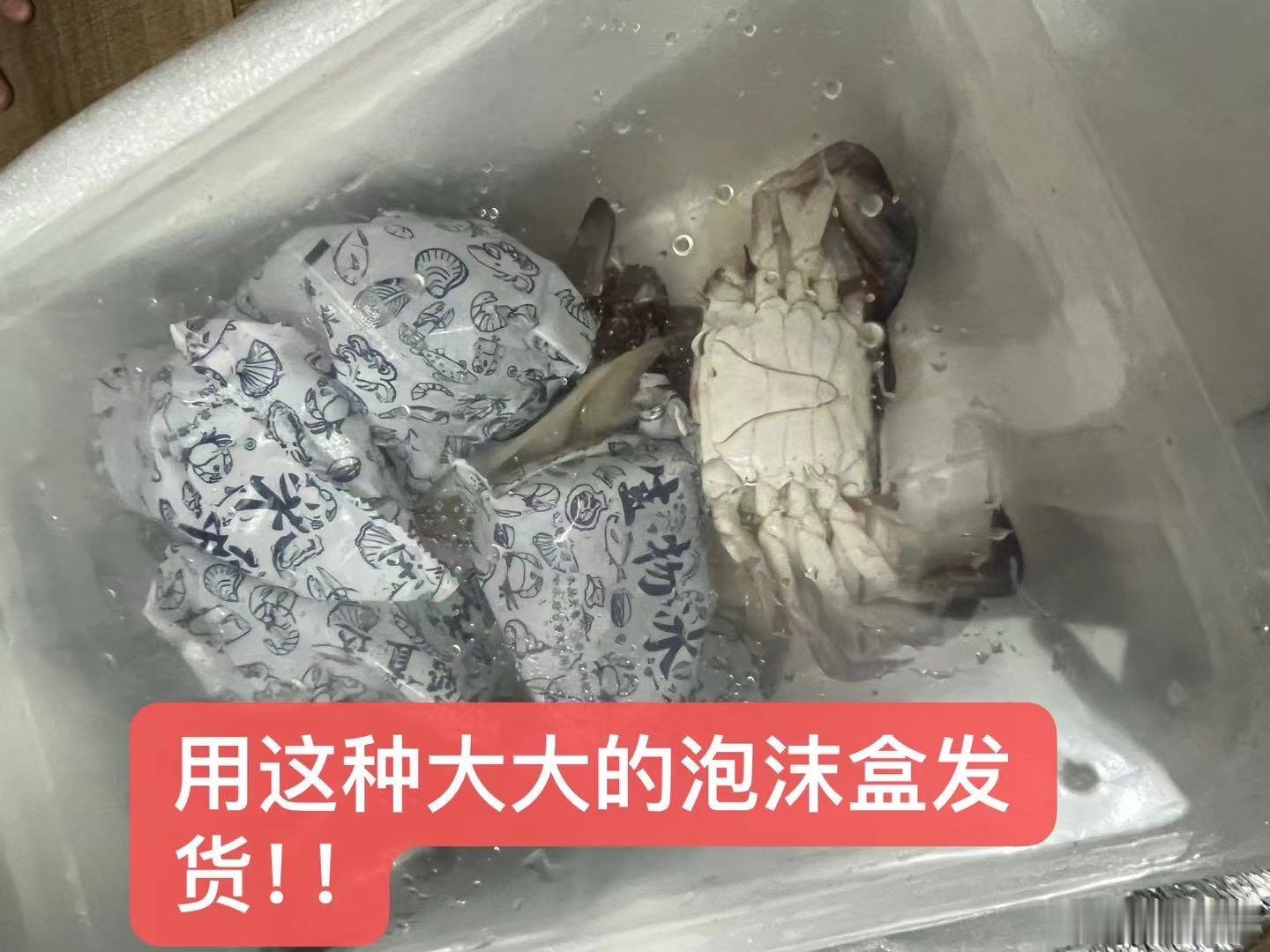 舟山野生月岙梭子蟹，蟹肉紧实，丝丝甜味，蒜瓣儿肉，确实棒！👍🏻 ​​​