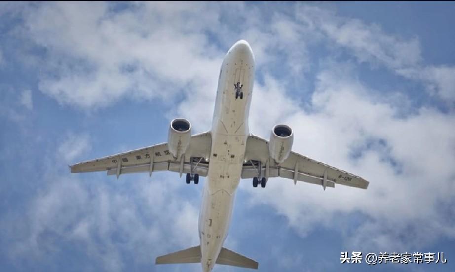 老两口从海南回东北，一人脑梗一人摔伤，给所有老人提个醒
 
平日里身体硬朗、精神