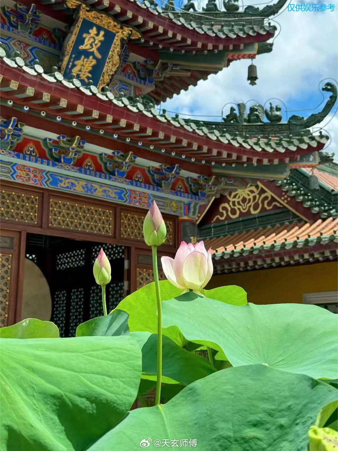 原来一个人身上真的会有气质原来一个人身上，真的藏着独一份的气质常有来客找我闲谈，