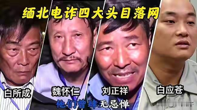 魏家是继明家、白家之后，缅北“四大家族”里第三个走完一审程序的犯罪集团。从202