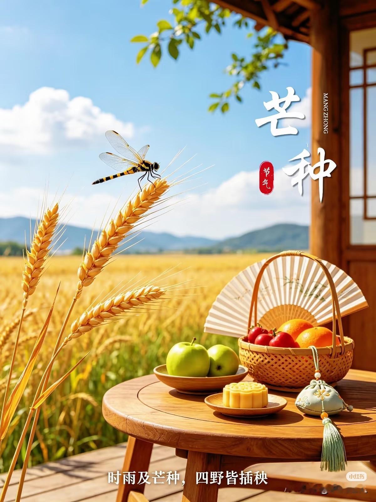时雨及芒种
万物皆成形