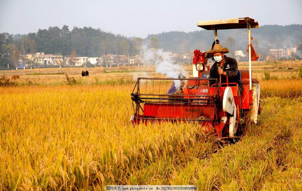 退休后的我，把自己过成了月光族。
我是去年12月份退休的，今年1月份就拿到了退休