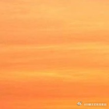 阳光信用 l森林驿站 善念滋养心田，善心孕育善念。德行非一日之功，善行成就不凡之