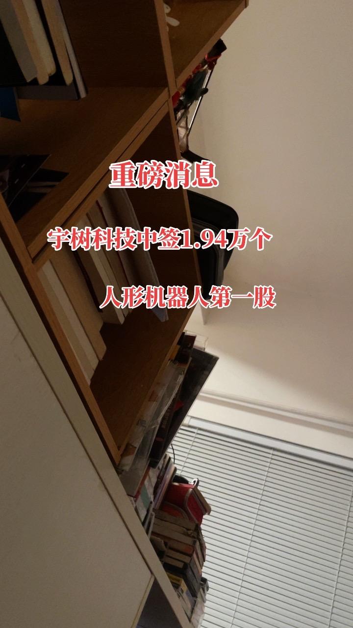 宇树科技