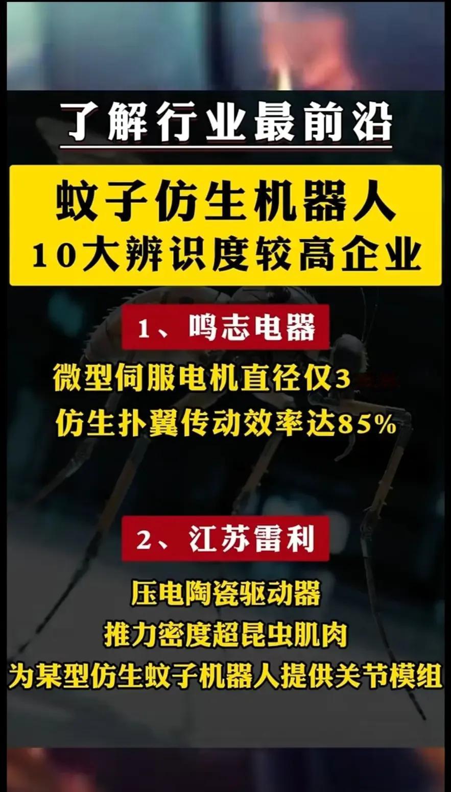 蚊子仿生机器人领域10家核心企业的关键技术亮点总结：

1. 鸣志电器
   -