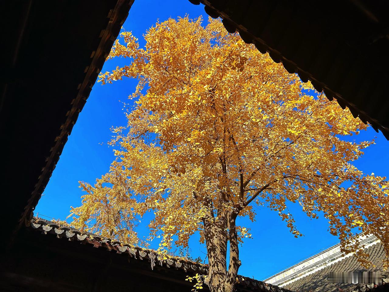 欢迎大家来我们南京旅游。