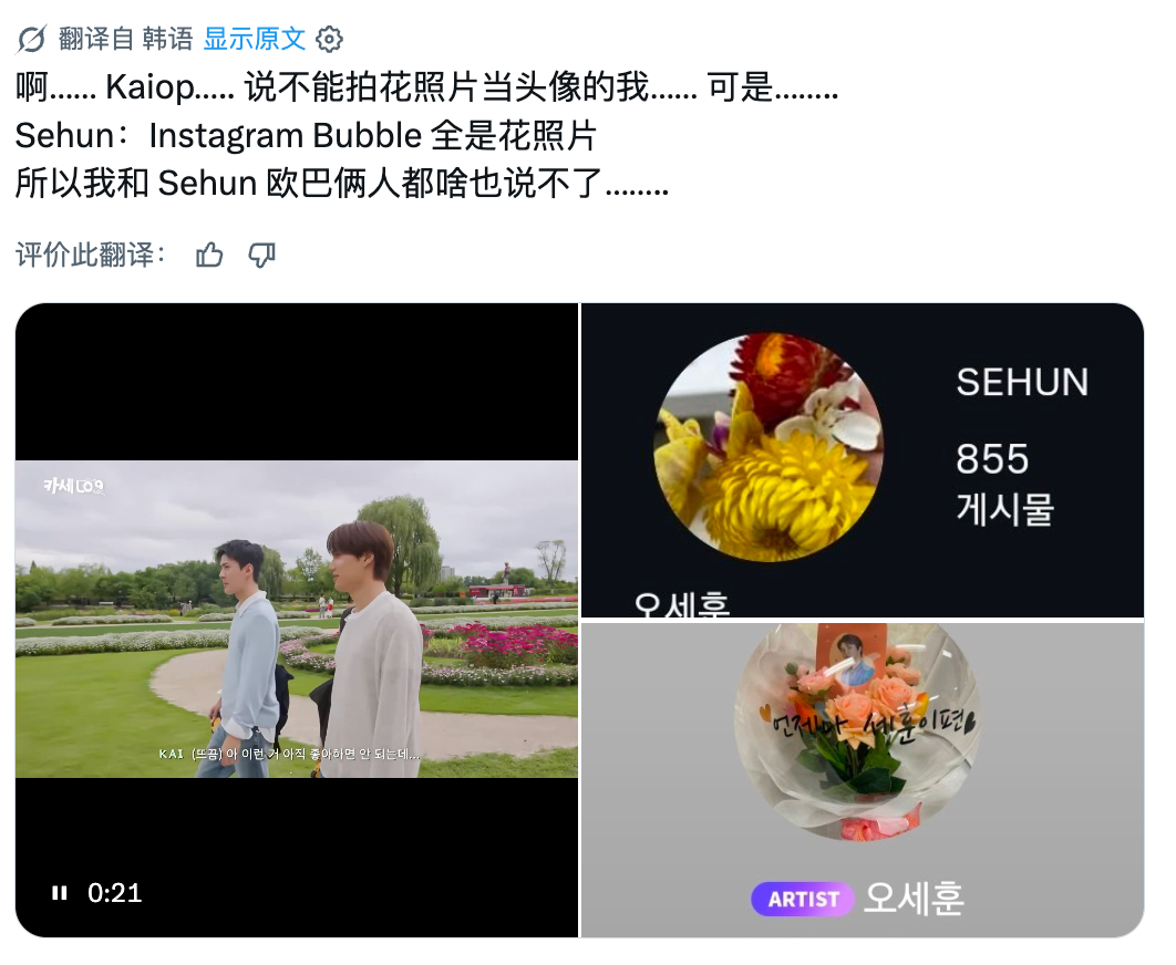小鸡不语 只是一味走路 
