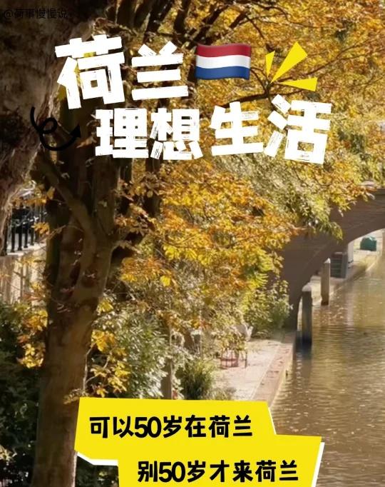 别50岁才来荷兰！理想很丰满，现实很骨感
很多人觉得：年轻人去荷兰，是为了学习和