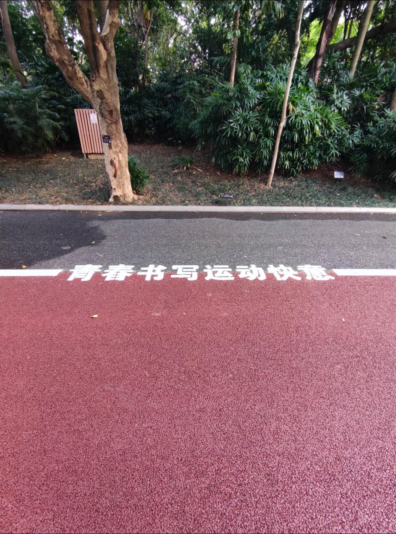 ①南湖公园的跑道翻新的地方全部开放，可以放心跑圈了。
②新的跑道线藏了一些关于运