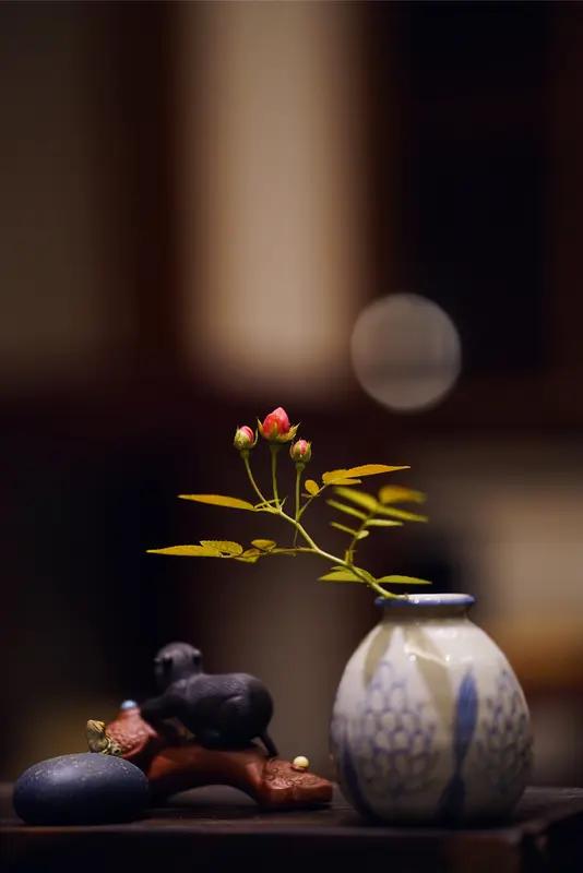 看到“知足方得心境好”这个上联，我也来凑个热闹对个下联。上联强调知足带来好心境，