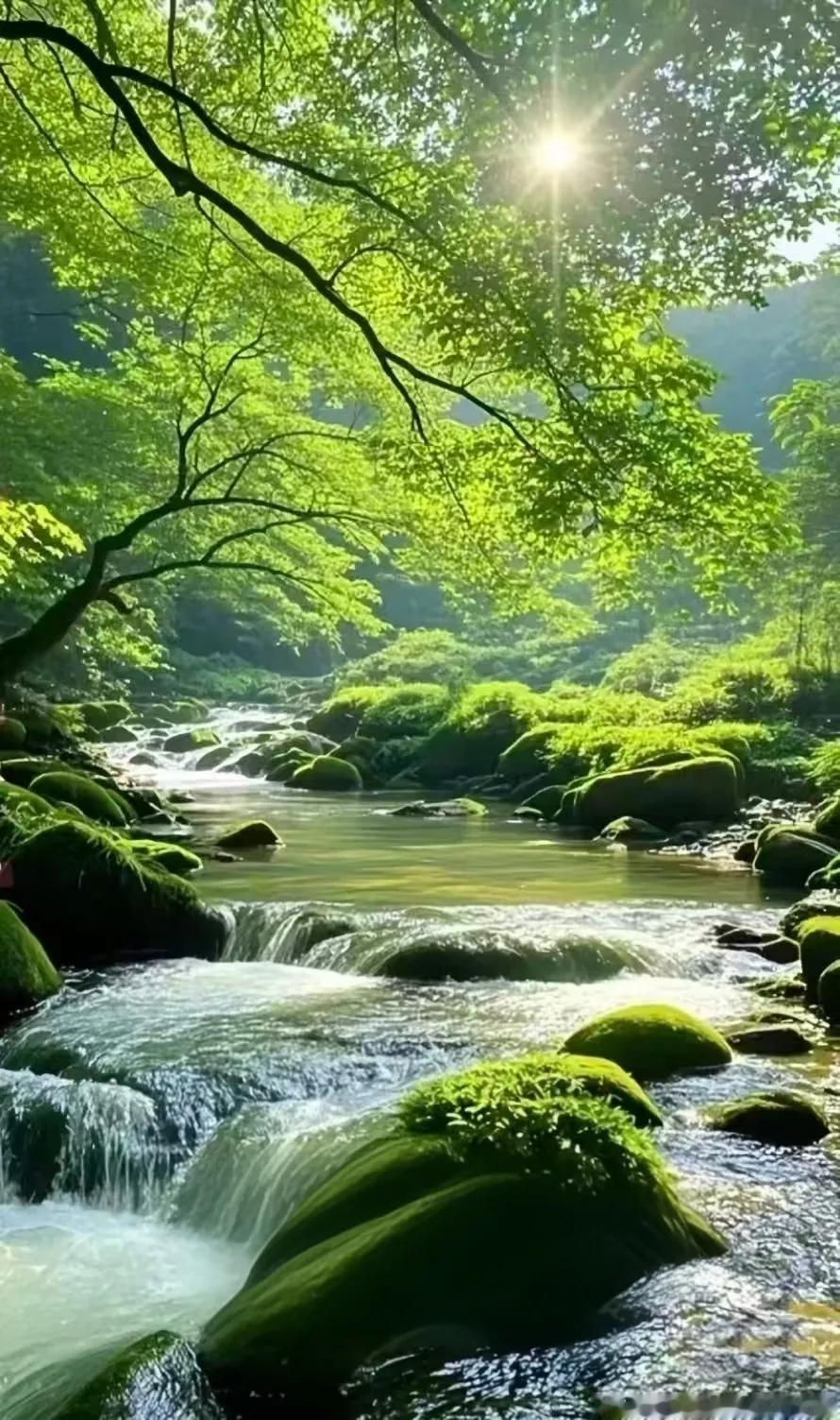 走过半生，才明白太多道理。
以前急于表达自己，渴望外界认可，结果发现人类悲欢并不