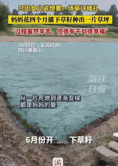 太感动了！
四川峨眉山，只因女儿的一句话，妈妈花了4个月的时间，每天精心呵护。从