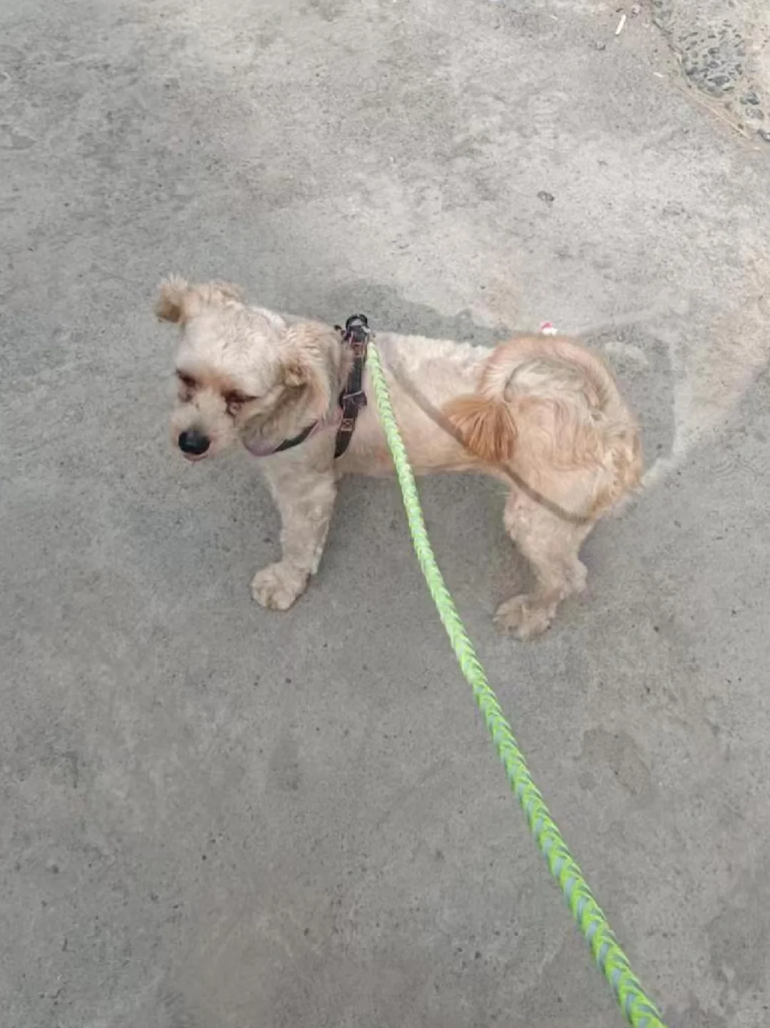 对不起，不该救你的……