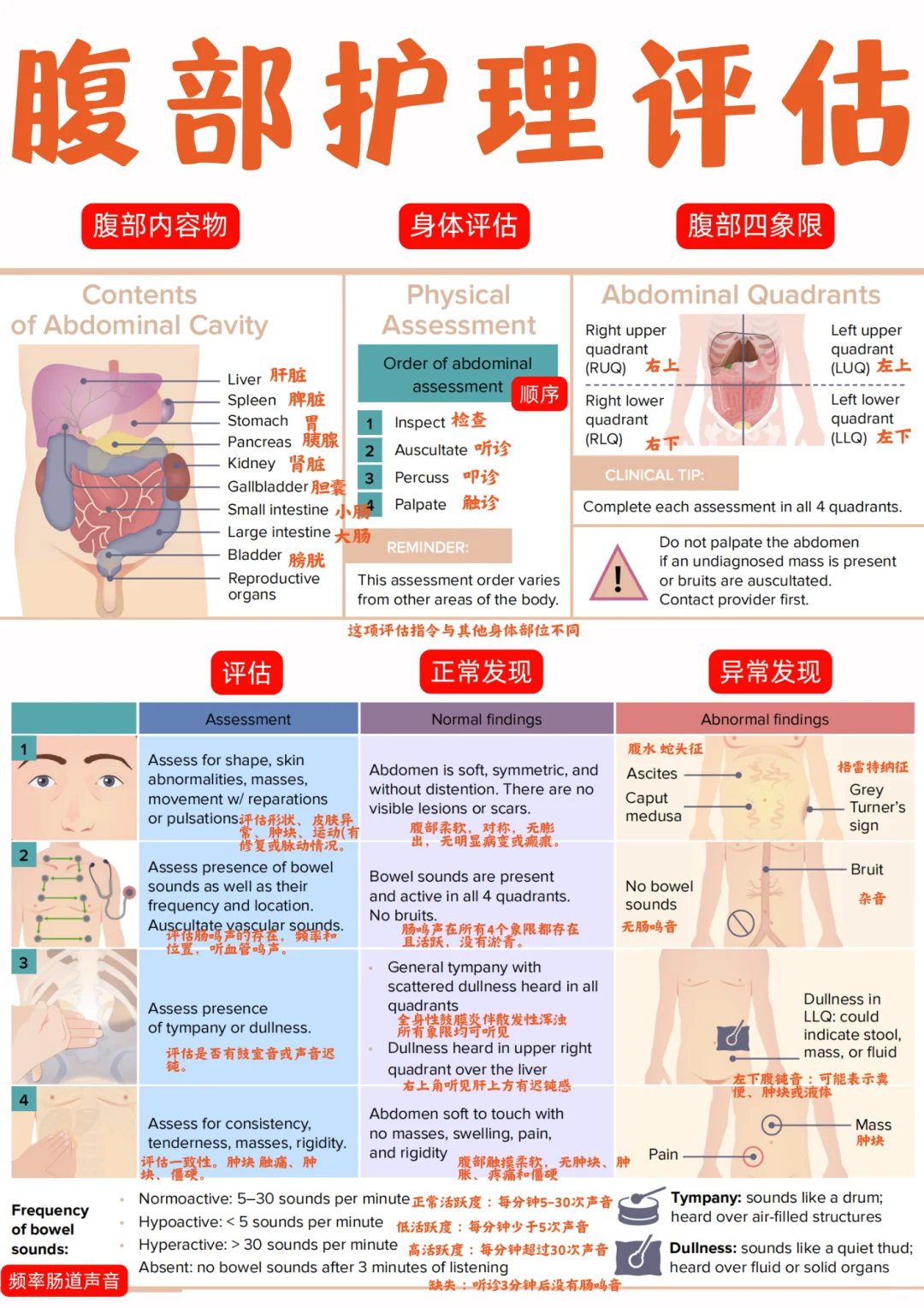 备考RN/腹部护理评估！！学！！内容