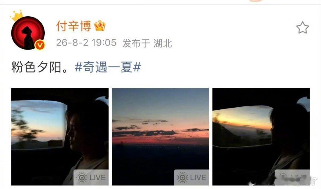 付辛博老头衫超大方付辛博简约松弛的老头衫，穿搭随性自在，奔赴黄昏落日，随手记录晚