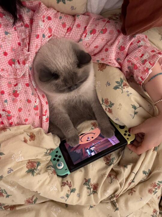 半夜不睡觉，就要玩游戏机