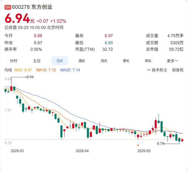东方创业拟为子公司担保3.83亿！四家子公司资产负债率超70%，还需股东会点头