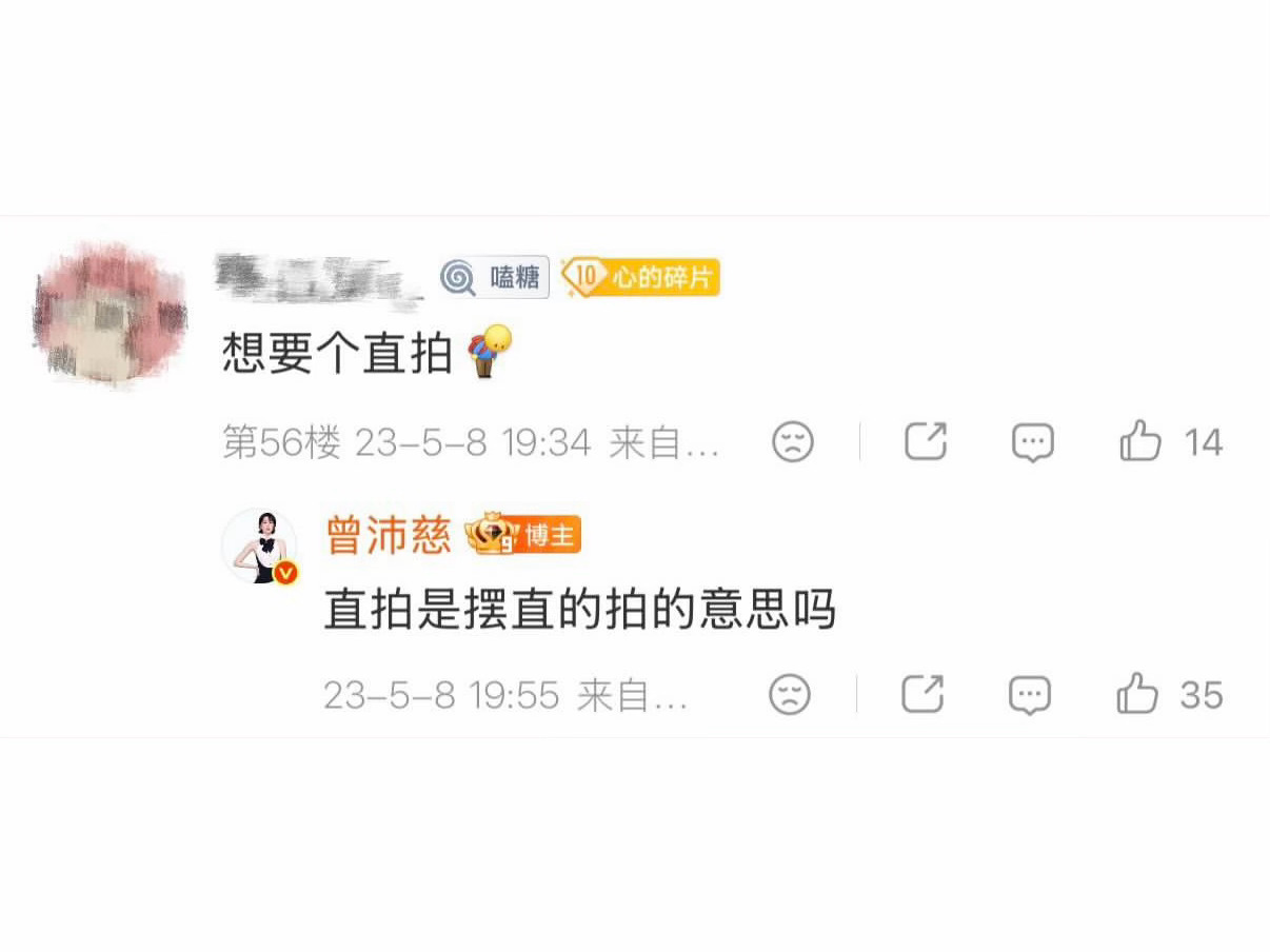 曾沛慈：直拍是摆直的拍的意思吗？ 