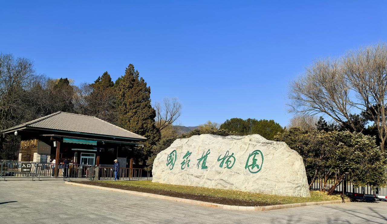 分享一张你最近随拍的照片初冬的国家植物园北苑