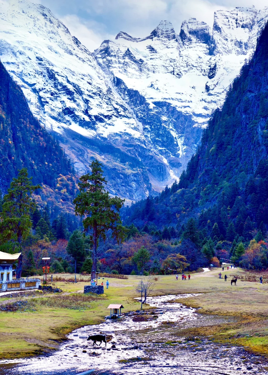 净土探寻｜香格里拉·梅里雪山·雨崩自驾攻略