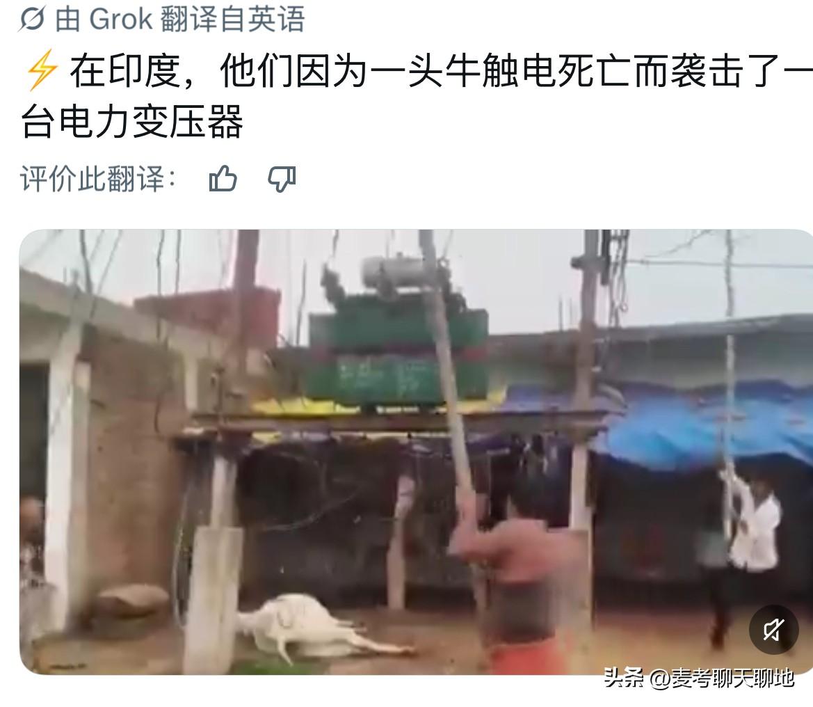 印度有一段视频很流行，中央邦沙赫多尔县的一个村庄的变压器线路漏电，一头牛触电倒地
