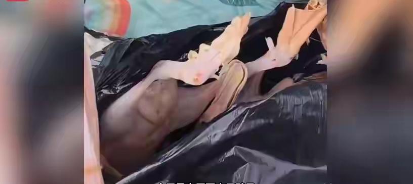 这女子买鸭肉意外带走摊主货款的事儿，真挺有意思。生活里这种小乌龙还挺多，但这女子