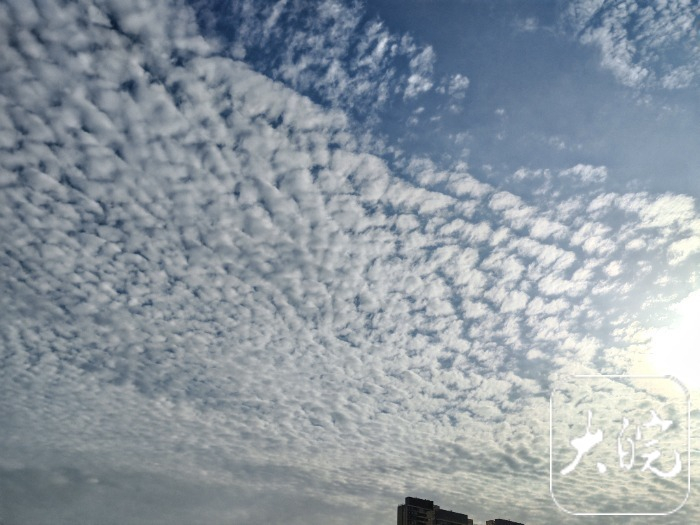 #合肥下大雨#【安徽迎大范围降雨！合肥今夜南部有大雨】#打工人遇上大雨天# 3月