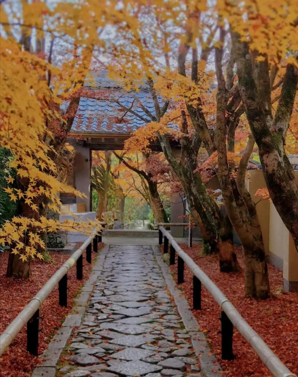 分享一下你随手拍下的照片