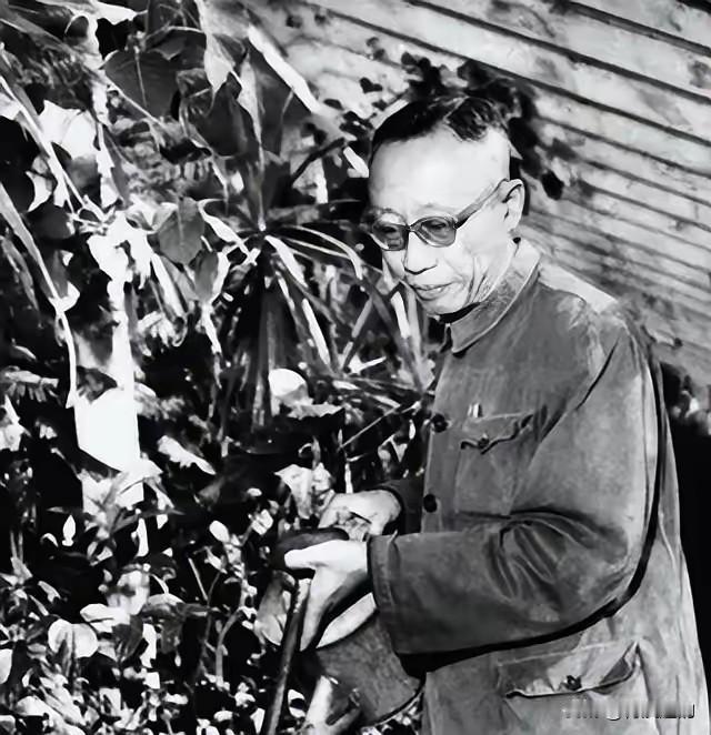 1961年，溥仪出狱后和杜聿明参观故宫，售票员：买票才能进，他脱口而出，“回自己