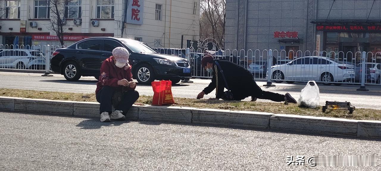 你知道大东北现在最火爆的是什么吗？
说了你可能不信。
就是全民挖婆婆丁。
现在小