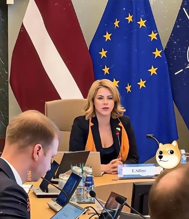 联合国安理会惊现“魔幻大戏”！中俄联手端上中东“和平火锅”，热气腾腾旨在救命，美