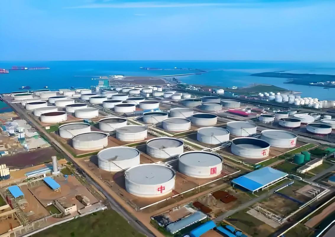 很多人吐槽油价上涨，只心疼加油多花钱，却没意识到石油早已深度绑定我们的健康与生命