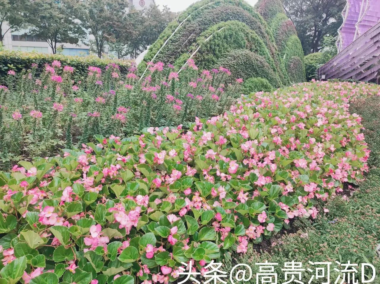 每年中秋icon前夕，月饼icon俨然成了奢侈品！那小小的一块月饼，有着各式各样