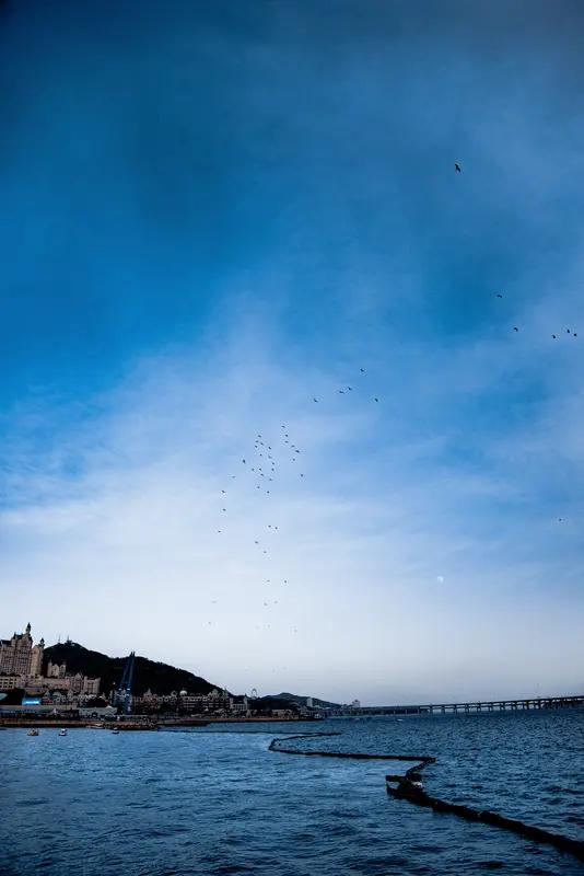 谷谷的视频仿若在水清沙白的海岸线上御风疾驰，那感受着实美妙至极！恰如杜甫诗句“渚