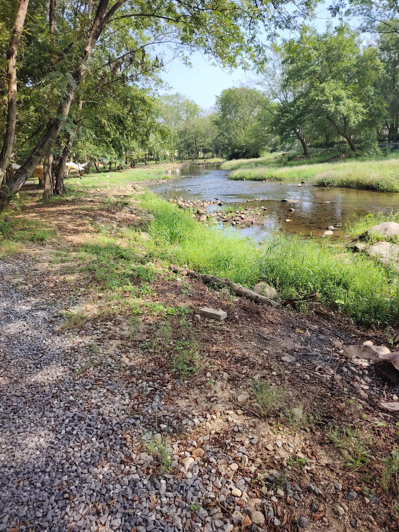 “这就是帮助他人的意义！”小伙蓬头垢面三次来餐馆求助，老板每次都免费给他饭吃，劝