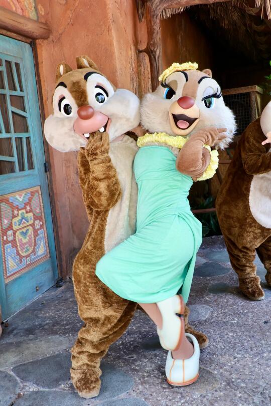 ❤️奇奇蒂蒂小可爱❤️