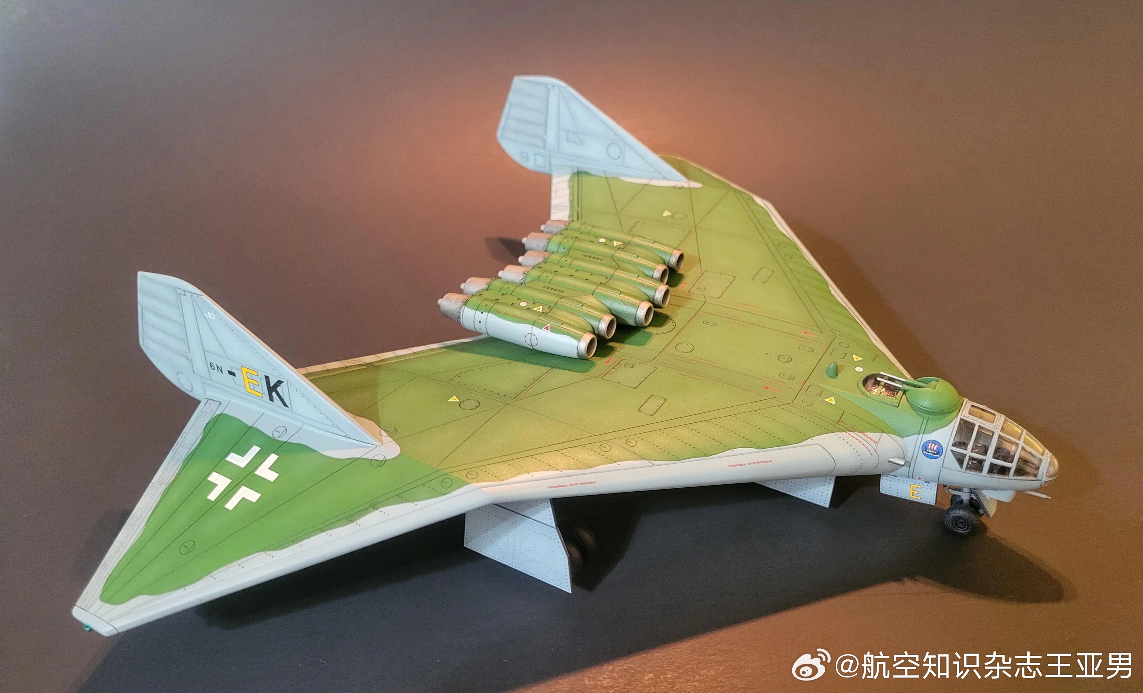 Revell出品的1/72德国阿拉多E.555拼装模型。虽然拼装过程很折磨，但完
