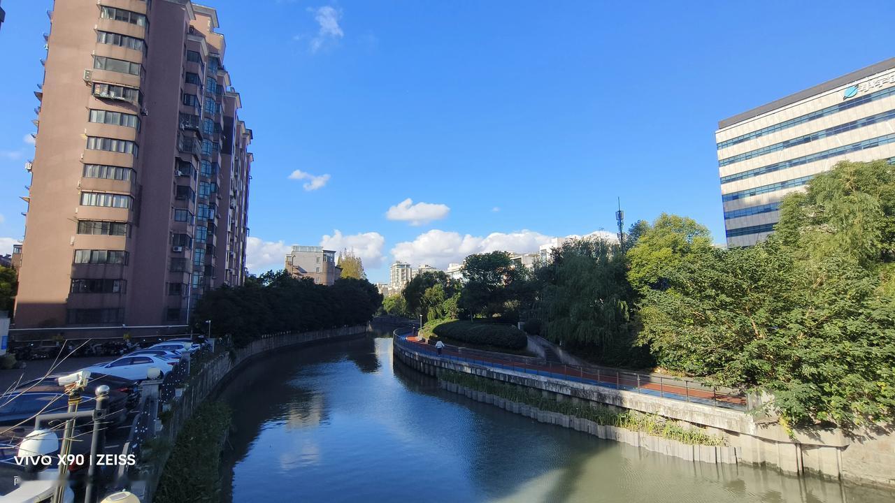 湿地公园美图分享大上海街头今日份的美景