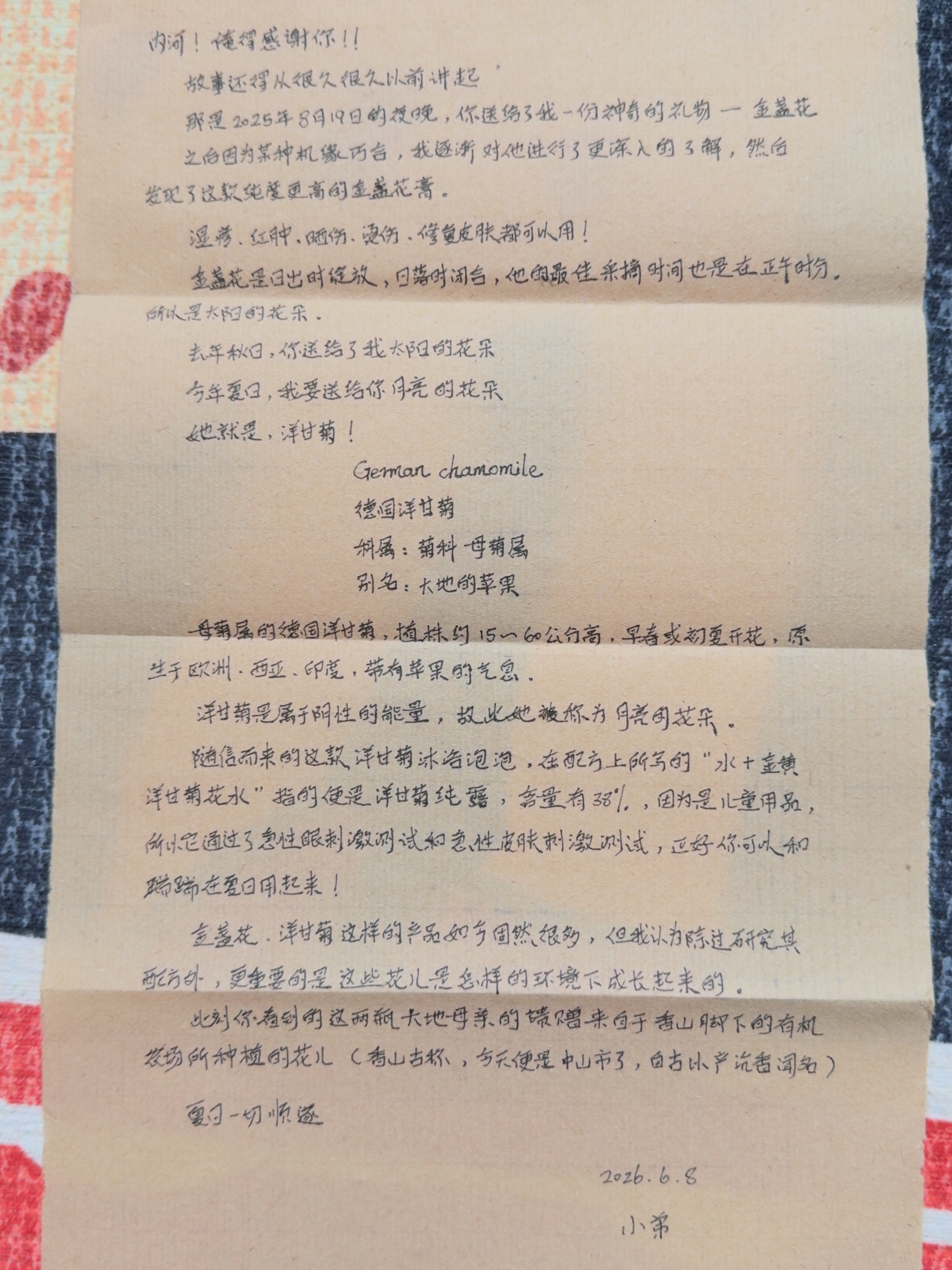 去年我送出太阳的花朵，今年收到了月亮的花朵。 